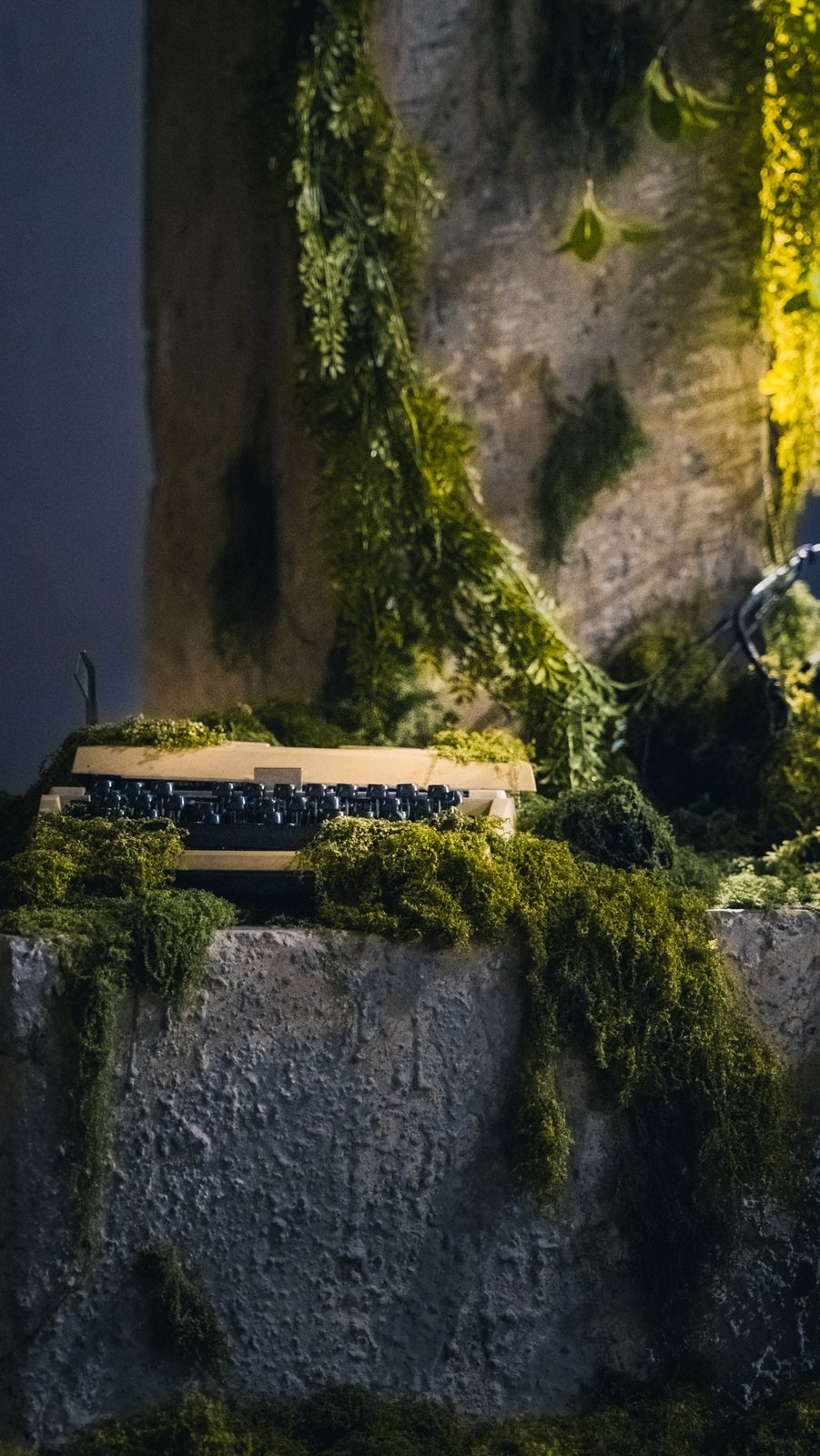 青苔石台上的旧电视与落叶
