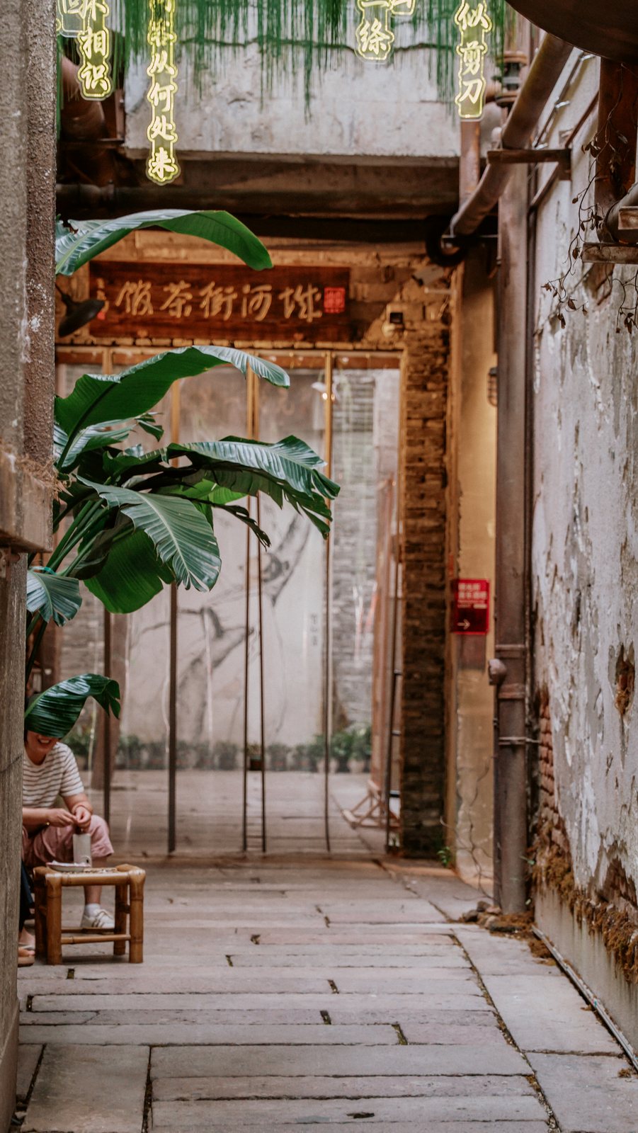 老街巷弄里的绿植与招牌